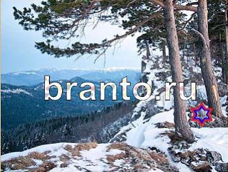 ответы на игру Найди животных Уровень 357