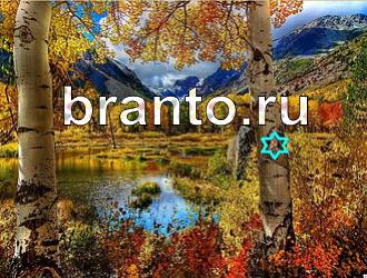 ответы на игру Найди животных Уровень 358