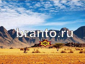 ответы на игру Найди животных Уровень 361