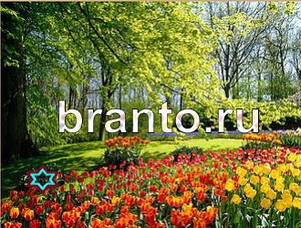 ответы на игру Найди животных Уровень 362