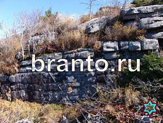 ответы на игру Найди животных Уровень 363