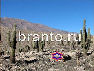 ответы на игру Найди животных Уровень 364