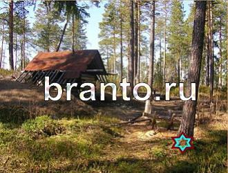 ответы на игру Найди животных Уровень 366