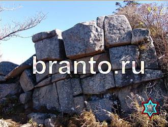 ответы на игру Найди животных Уровень 369