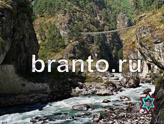 ответы на игру Найди животных Уровень 370