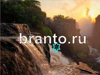 ответы на игру Найди животных Уровень 371