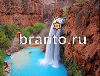 ответы на игру Найди животных Уровень 372