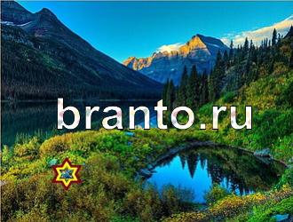 ответы на игру Найди животных Уровень 373