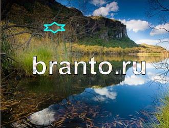 ответы на игру Найди животных Уровень 374