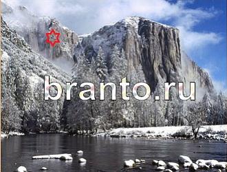 ответы на игру Найди животных Уровень 375