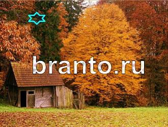 ответы на игру Найди животных Уровень 377