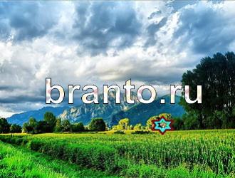 ответы на игру Найди животных Уровень 378