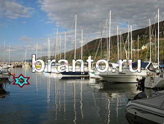 ответы на игру Найди животных Уровень 379