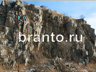 ответы на игру Найди животных Уровень 380