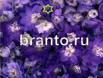 ответы на игру Найди животных Уровень 381