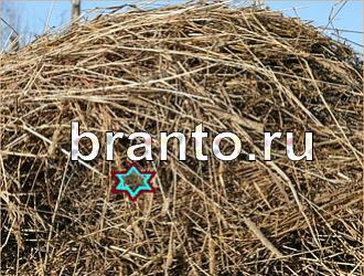 ответы на игру Найди животных Уровень 382