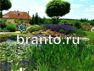 ответы на игру Найди животных Уровень 383