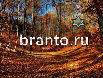 ответы на игру Найди животных Уровень 384