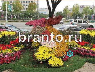 ответы на игру Найди животных Уровень 385