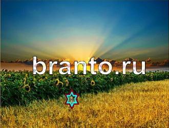 ответы на игру Найди животных Уровень 387