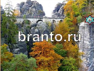 ответы на игру Найди животных Уровень 389