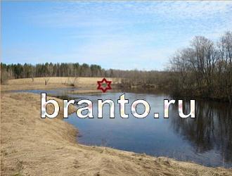 ответы на игру Найди животных Уровень 390