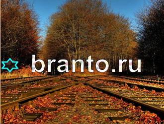 ответы на игру Найди животных Уровень 392