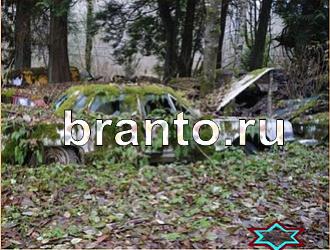 ответы на игру Найди животных Уровень 393