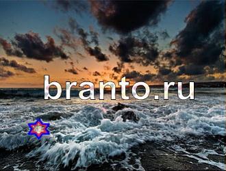 ответы на игру Найди животных Уровень 395