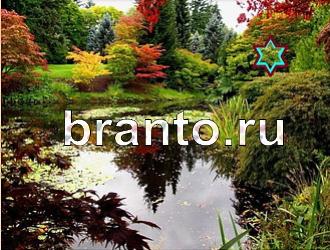 ответы на игру Найди животных Уровень 398