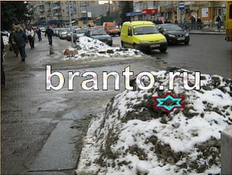 ответы на игру Найди животных Уровень 399