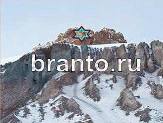 ответы на игру Найди животных Уровень 400