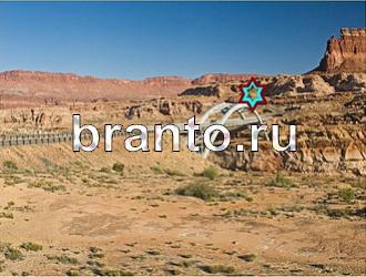 ответы на игру Найди животных Уровень 452