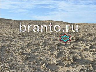 ответы на игру Найди животных Уровень 453