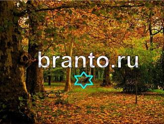 ответы на игру Найди животных Уровень 454