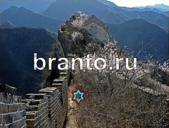 ответы на игру Найди животных Уровень 455