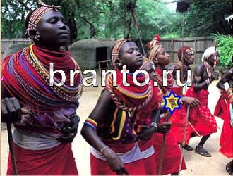 ответы на игру Найди животных Уровень 456