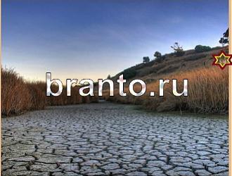 ответы на игру Найди животных Уровень 457