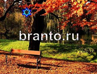 ответы на игру Найди животных Уровень 460