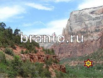 ответы на игру Найди животных Уровень 462