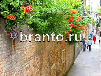 ответы на игру Найди животных Уровень 464