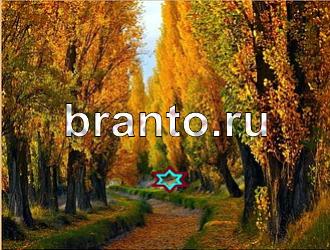 ответы на игру Найди животных Уровень 465