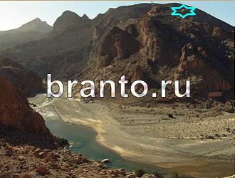 ответы на игру Найди животных Уровень 466