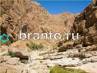 ответы на игру Найди животных Уровень 467