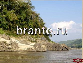 ответы на игру Найди животных Уровень 468