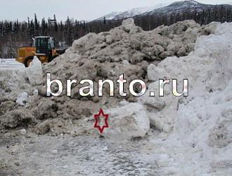 ответы на игру Найди животных Уровень 470
