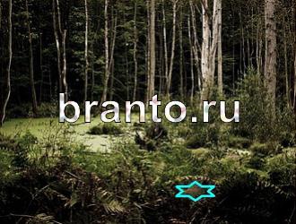 ответы на игру Найди животных Уровень 472