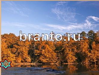 ответы на игру Найди животных Уровень 474