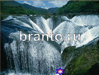 ответы на игру Найди животных Уровень 476