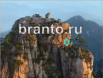 ответы на игру Найди животных Уровень 477